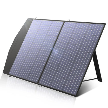 ALLPOWERS R600 + SP027 100W